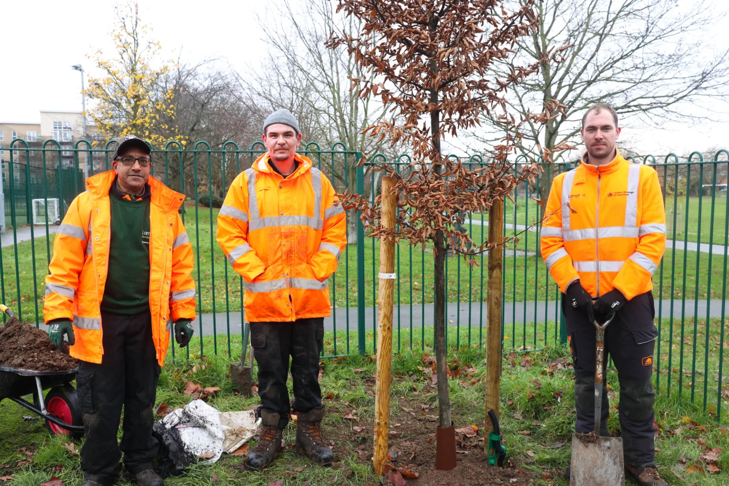 3 men standing in a park, planting trees